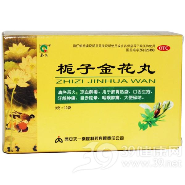 栀子金花丸(秦昆)