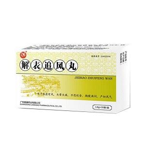 解表追风丸