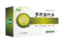 罗布麻叶片