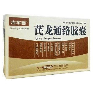 芪龙通络胶囊