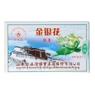 金银花胶囊