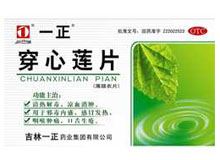 穿心莲片(一正)