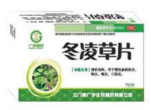 冬凌草片(广宇制药)