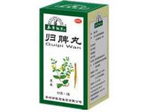 归脾丸(本草纲目)