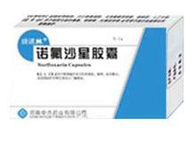诺氟沙星胶囊(瑞诺林)