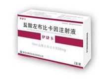 盐酸左布比卡因注射液(伊捷卡)