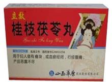 桂枝茯苓丸(立效)