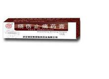 烧伤止痛药膏(健民)