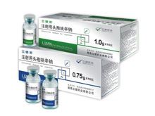 注射用头孢呋辛钠(立健新)