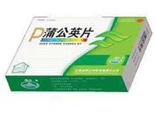 蒲公英片(恒山)