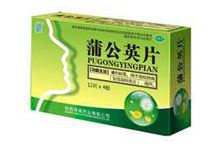 蒲公英片(春晖)