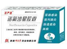 诺氟沙星胶囊(百严息)