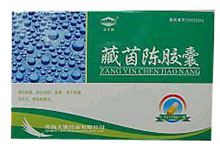 藏茵陈胶囊