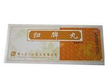 归脾丸(冯了性)