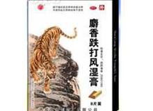 麝香跌打风湿膏
