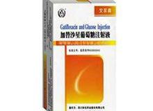 加替沙星葡萄糖注射液(艾尔嘉)