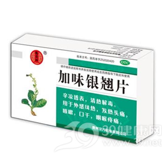 加味银翘片(德昌祥)