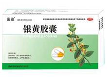 银黄胶囊(富迪)
