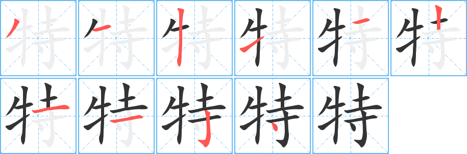特字的笔顺
