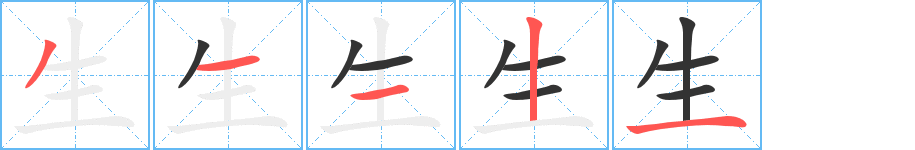 生字的笔顺
