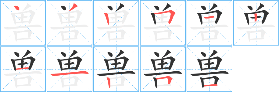兽字的笔顺