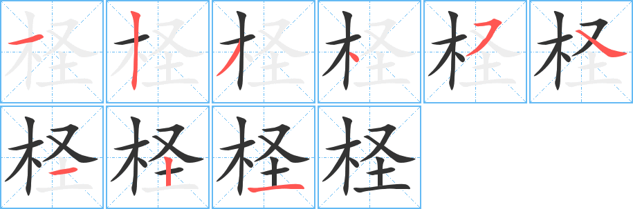 柽字的笔顺