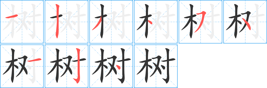 树字的笔顺