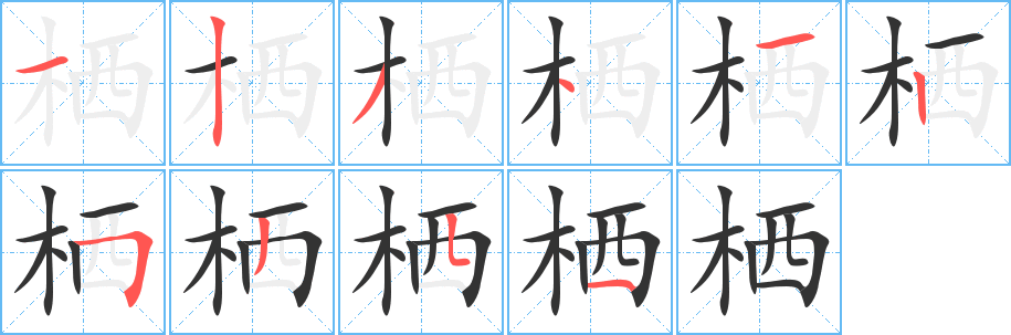 栖字的笔顺