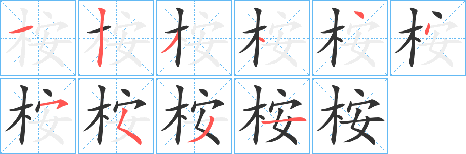桉字的笔顺