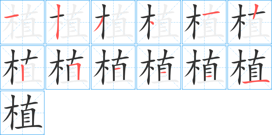 植字的笔顺