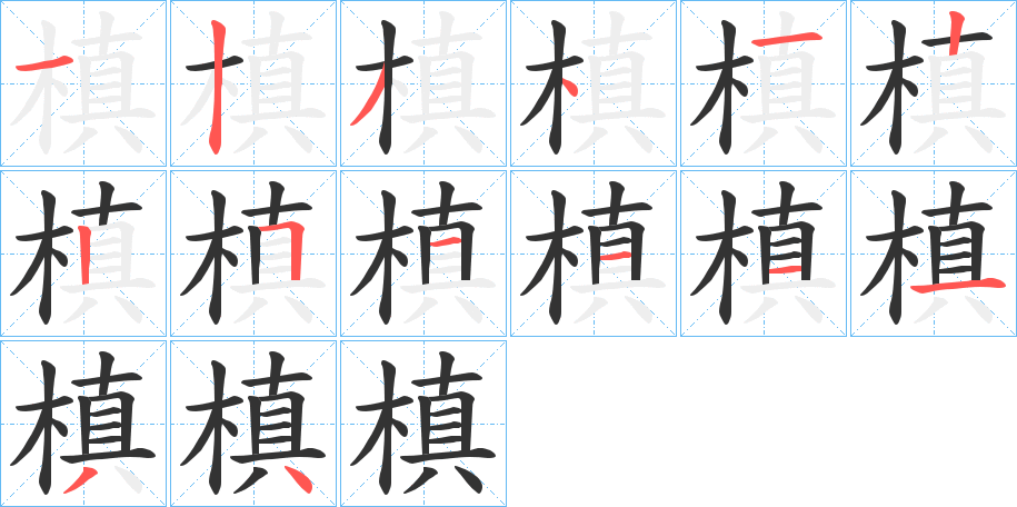 槙字的笔顺