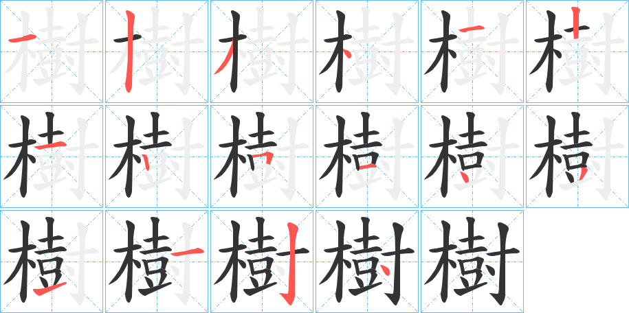 樹字的笔顺