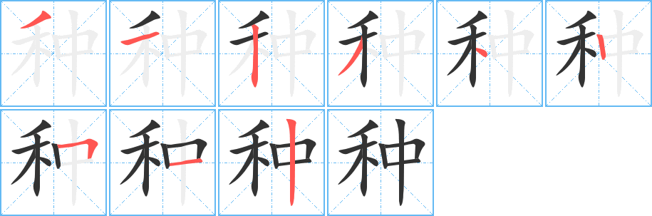 种字的笔顺