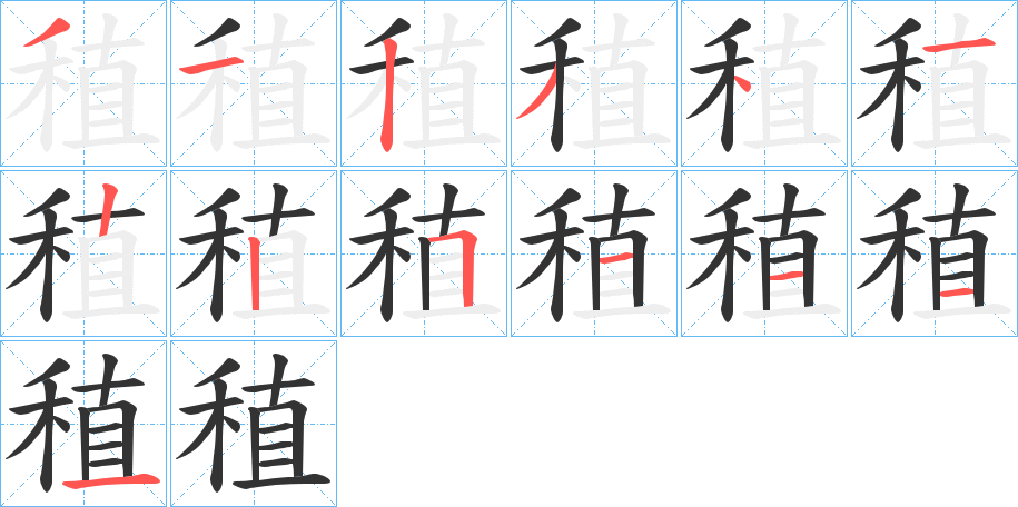稙字的笔顺