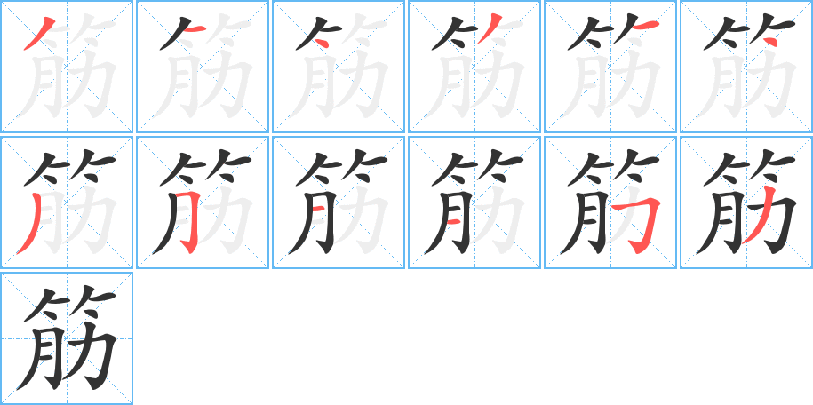 筋字的笔顺