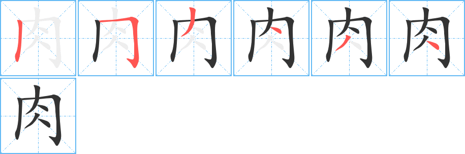 肉字的笔顺