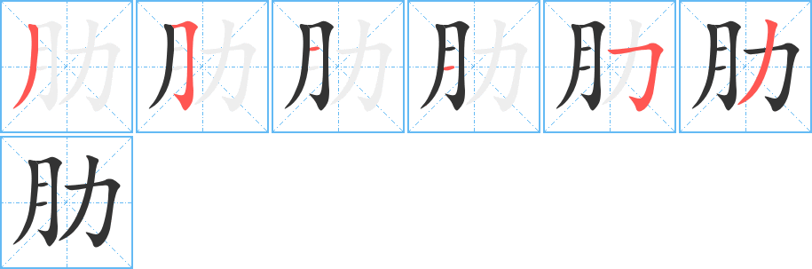肋字的笔顺