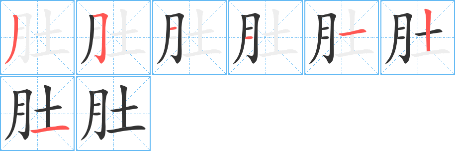 肚字的笔顺