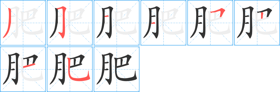 肥字的笔顺