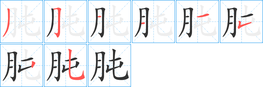 肫字的笔顺