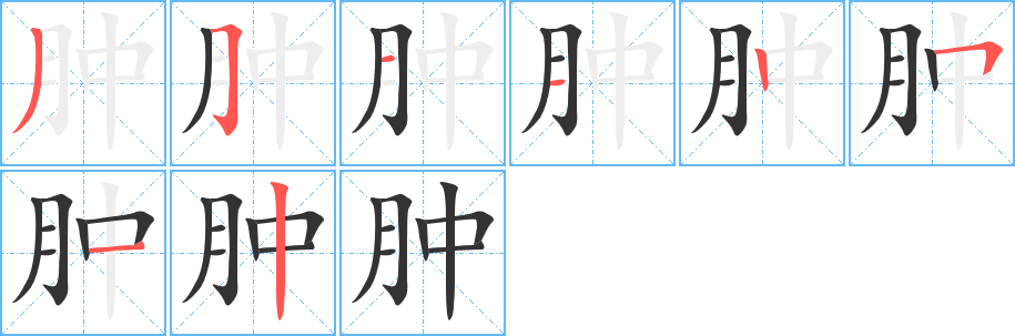 肿字的笔顺