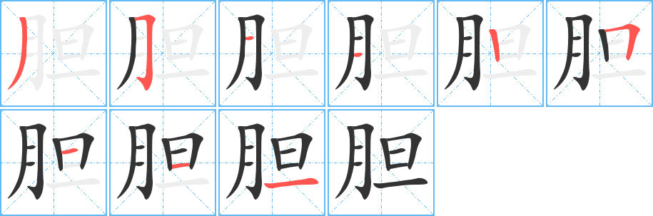 胆字的笔顺
