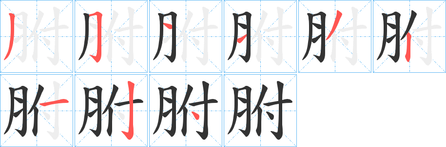 胕字的笔顺