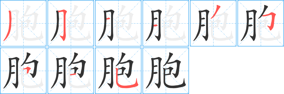 胞字的笔顺