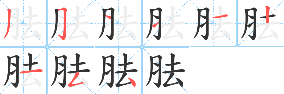 胠字的笔顺