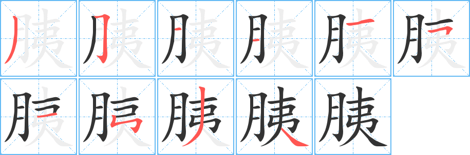 胰字的笔顺