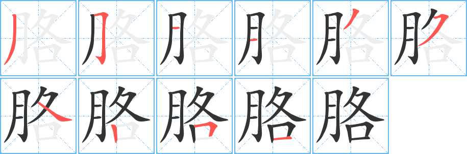 胳字的笔顺