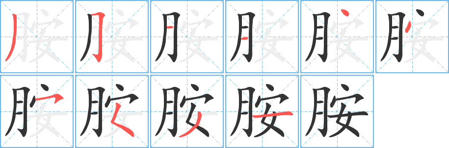 胺字的笔顺