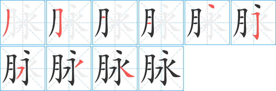脉字的笔顺