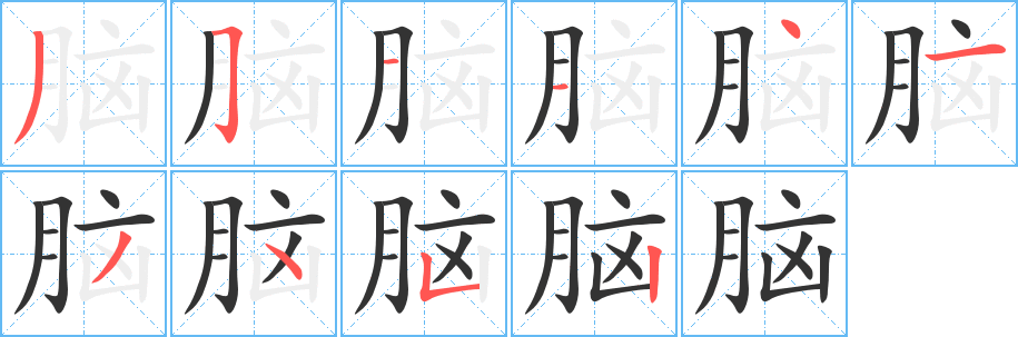 脑字的笔顺